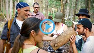 Video activité Rencontre avec l'esprit de la forêt, Hébergement aux Cinq Sens, Piopolis, Estrie.